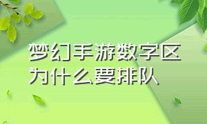 梦幻手游数字区为什么要排队