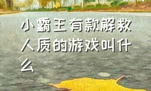 小霸王有款解救人质的游戏叫什么