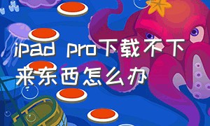 ipad pro下载不下来东西怎么办