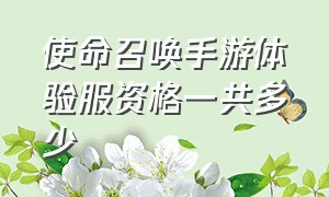 使命召唤手游体验服资格一共多少