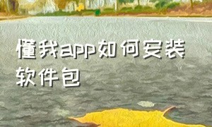 懂我app如何安装软件包