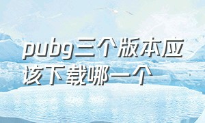 pubg三个版本应该下载哪一个