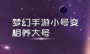 梦幻手游小号变相养大号