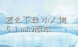 怎么下载 小人物 5.1 mkv版本