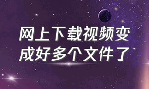 网上下载视频变成好多个文件了