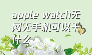 apple watch无网无手机可以干什么