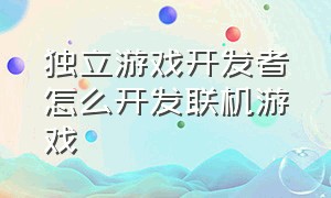 独立游戏开发者怎么开发联机游戏