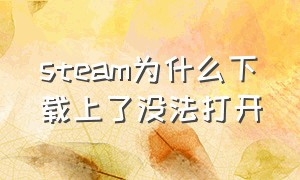 steam为什么下载上了没法打开