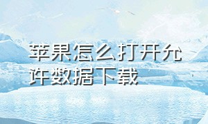 苹果怎么打开允许数据下载