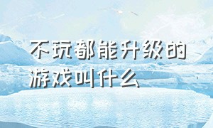 不玩都能升级的游戏叫什么