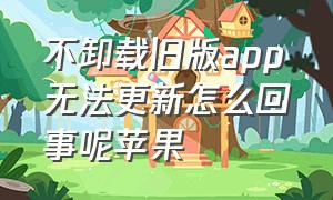 不卸载旧版app无法更新怎么回事呢苹果