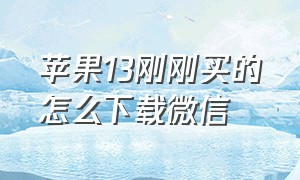 苹果13刚刚买的怎么下载微信