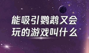 能吸引鹦鹉又会玩的游戏叫什么