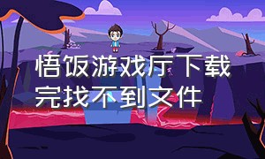 悟饭游戏厅下载完找不到文件