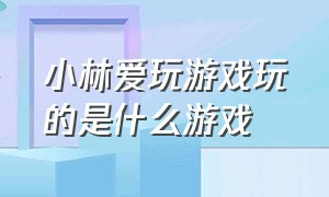 小林爱玩游戏玩的是什么游戏