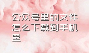 公众号里的文件怎么下载到手机里