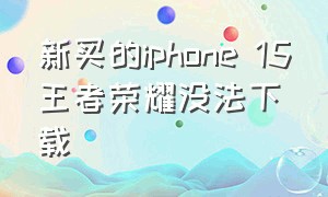 新买的iphone 15王者荣耀没法下载