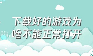 下载好的游戏为啥不能正常打开