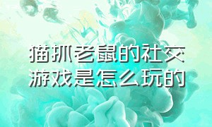 猫抓老鼠的社交游戏是怎么玩的