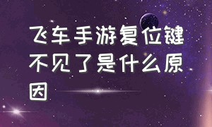 飞车手游复位键不见了是什么原因