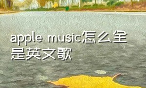 apple music怎么全是英文歌