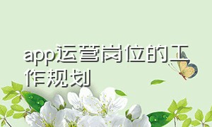 app运营岗位的工作规划