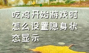 吃鸡开始游戏时怎么设置隐身状态显示