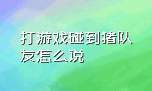 打游戏碰到猪队友怎么说