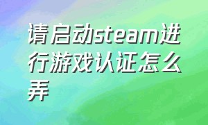 请启动steam进行游戏认证怎么弄