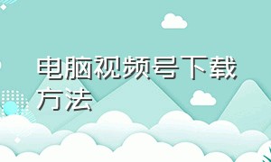 电脑视频号下载方法