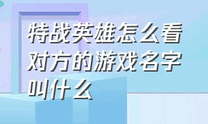 特战英雄怎么看对方的游戏名字叫什么