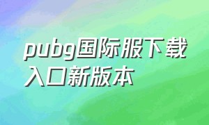 pubg国际服下载入口新版本