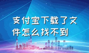 支付宝下载了文件怎么找不到