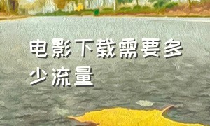 电影下载需要多少流量