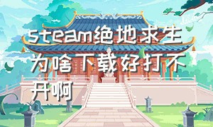 steam绝地求生为啥下载好打不开啊