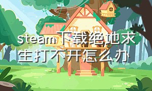 steam下载绝地求生打不开怎么办