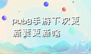 pubg手游下次更新要更新啥