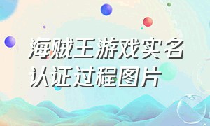 海贼王游戏实名认证过程图片