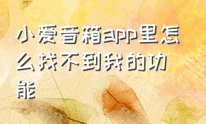 小爱音箱app里怎么找不到我的功能