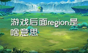 游戏后面region是啥意思