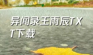 异闻录王雨辰TXT下载