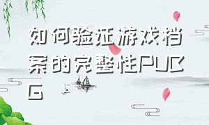 如何验证游戏档案的完整性PUBG