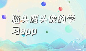 猫头鹰头像的学习app