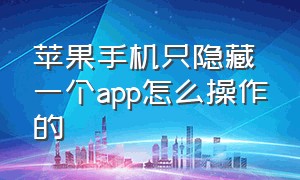 苹果手机只隐藏一个app怎么操作的