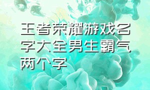 王者荣耀游戏名字大全男生霸气两个字