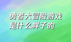 勇者大冒险游戏是什么样子的