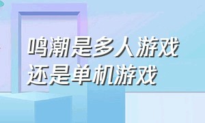 鸣潮是多人游戏还是单机游戏