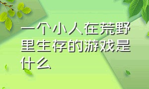 一个小人在荒野里生存的游戏是什么