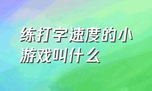 练打字速度的小游戏叫什么