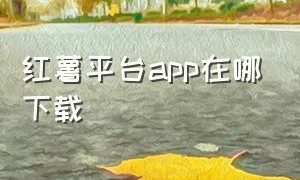 红薯平台app在哪下载